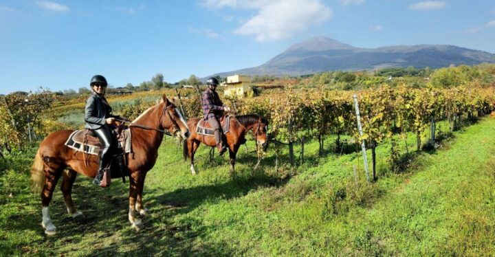 Pompeii: Ruins Tour and Mount Vesuvius Horseback Ride - Included Activities and Exclusions