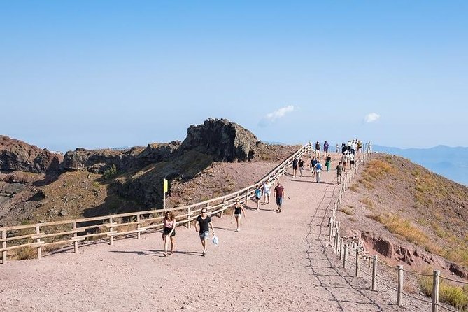 Pompeii & Vesuvio Full-Day Private Tour From Rome All Inclusive SKIP the LINE - Customer Reviews and Ratings