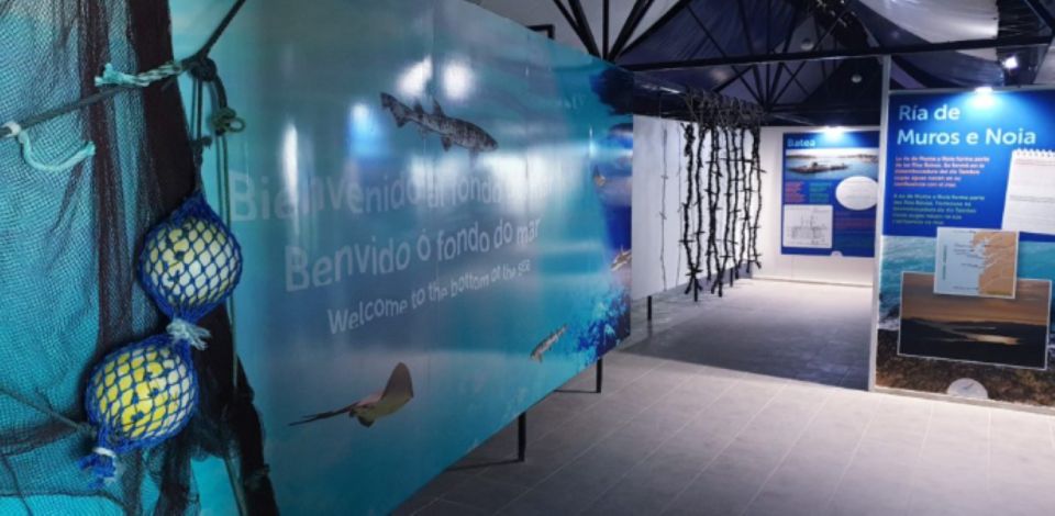 Pontevedra: O Grove Aquarium Experience - Experience Description