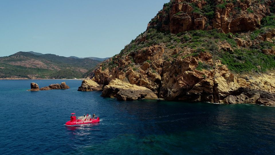 Porto : Discovery of the Marine Fauna and Flora/Bay of Porto - Booking Information