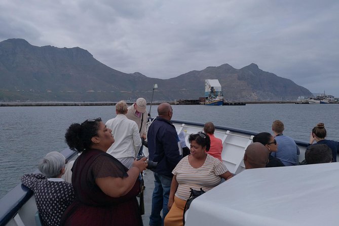 Private Cape of Good Hope Cape Point Penguins Kirstenbosch Tour - Inclusions