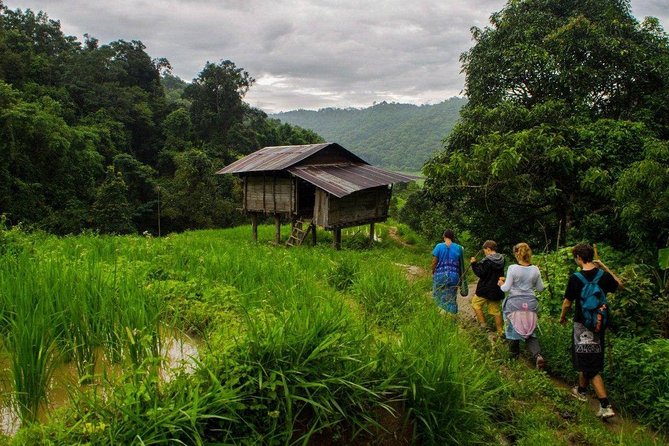 Private Day Trip to Doi Inthanon (Hikes and Tours) - Private Tour Highlights