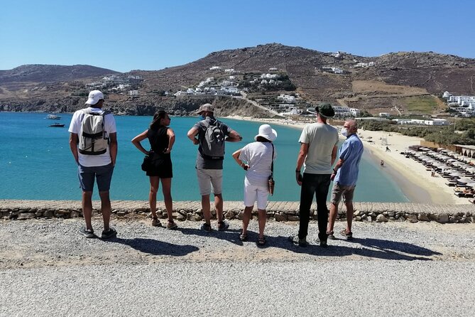 Private Half-Day Mykonos Insider Tour With Pick up - Pricing and Inclusions