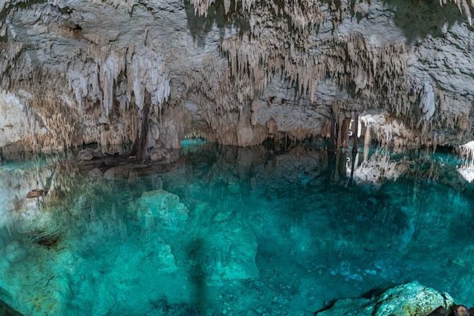 Private Snorkeling Tour in 2 Cenotes With Mayan Lunch - Duration and Inclusions