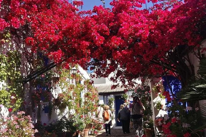 Private Tour: the Courtyards of Cordoba - Meeting Point Options