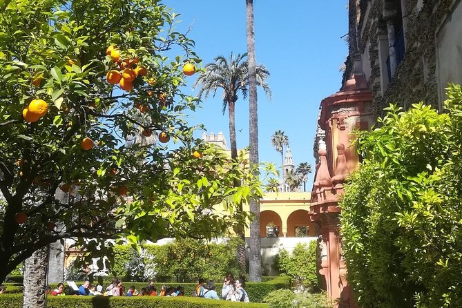 Private Tour to the Real Alcazar of Seville - What to Expect