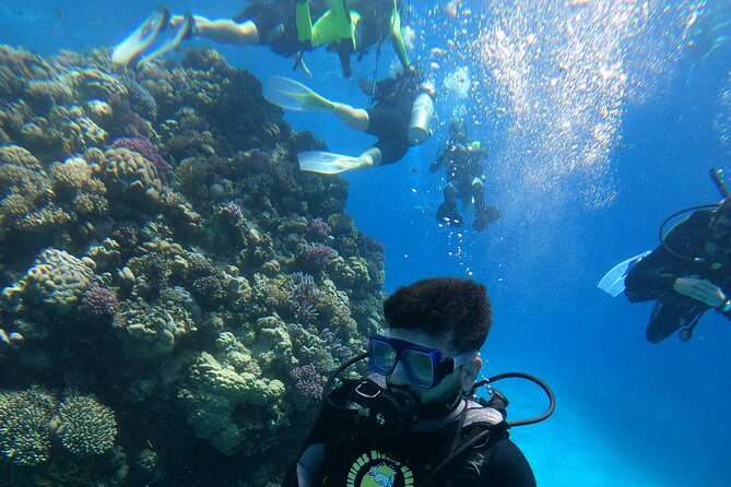 Professional Scuba Diving Trip in Hurghada With Lunch - Equipment Provided