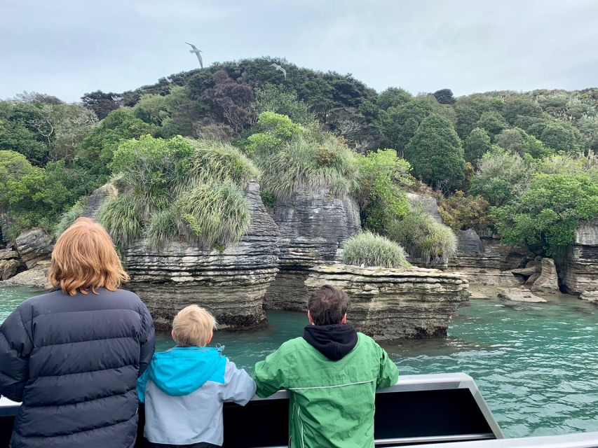 Raglan: Nature Cruise of Raglan Harbour - Experience Highlights