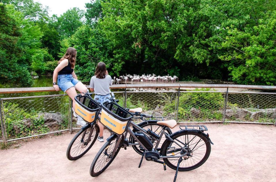 Rental E-Bike for a Day (+4h) - Activity Highlights and Inclusions