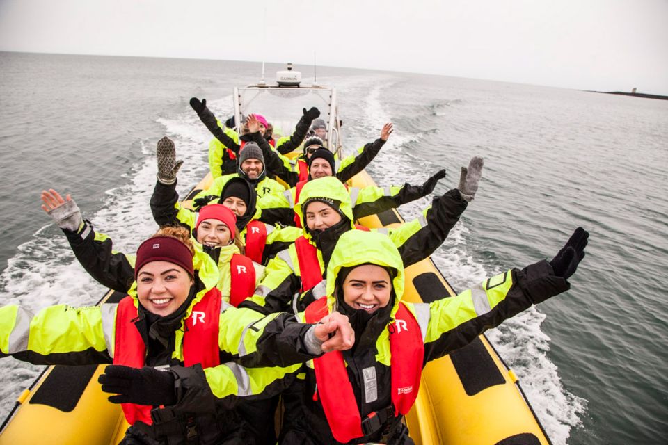 Reykjavik: Whale Watching by RIB Speedboat - Experience Highlights