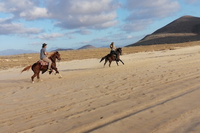 Ride a Horse Around the Beautiful Beaches of Todos Santos. - Attire and Equipment Provided