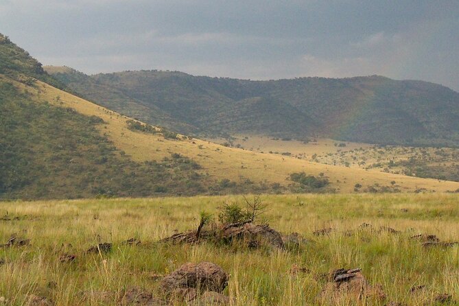 Roar Through the Bush Quadbike Safari Adventure Near Johannesburg - Bush Safari Itinerary