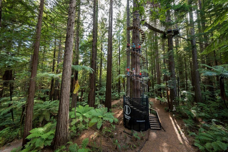 Rotorua: Redwoods Altitude High Ropes Adventure - Activity Information