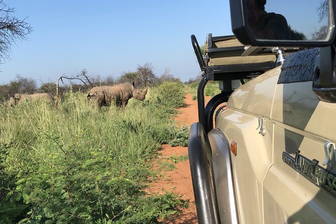 Safari Game Drive: Dinokeng Game Reserve - Logistics and Accessibility Details