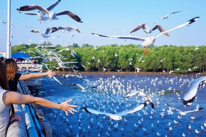 Sam Lam Centennial Market in Samut Prakan Three Elephants Museum Siam Ancient City Seagulls Xena - Architectural Wonders of Siam Ancient City