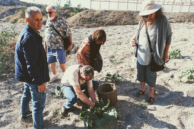 Santorini Anhydrous Croft Tour With Local Food & Wine Tasting by a Local - Booking Information