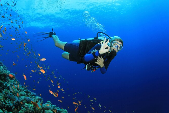 Scuba Dive With Sharing Transfers - Weather and Cancellation Policies