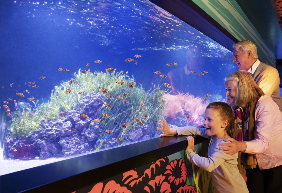SEA LIFE Charlotte-Concord Aquarium General Admission - Experience Highlights