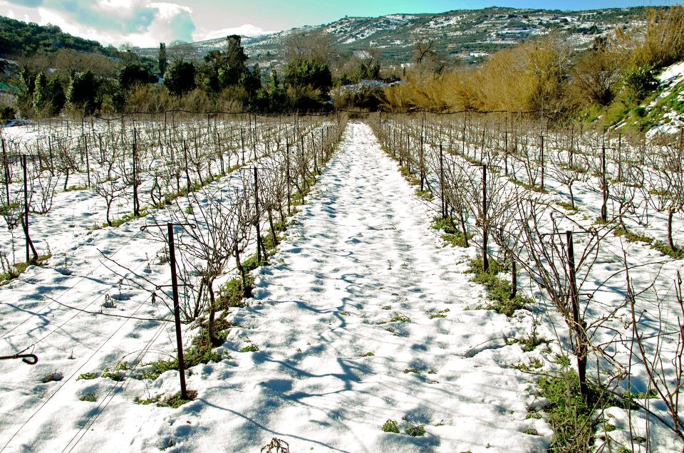 Semi Private Heraklion Valley Wine Tour With Lunch - Booking Details