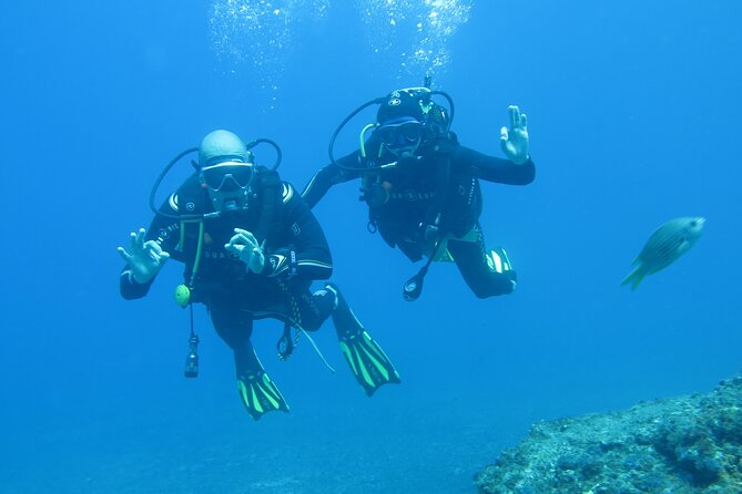 Sesimbra Discover Scuba Diving Experience  - Setubal District - Pricing and Cancellation Policy