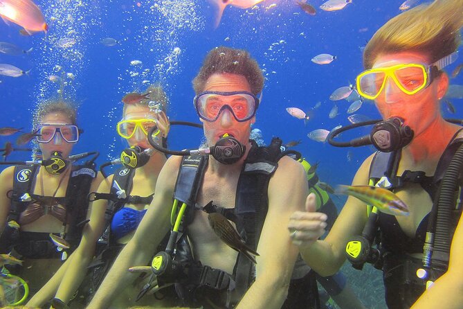 Shared Scuba Diving Under Water Museum - Pricing Details