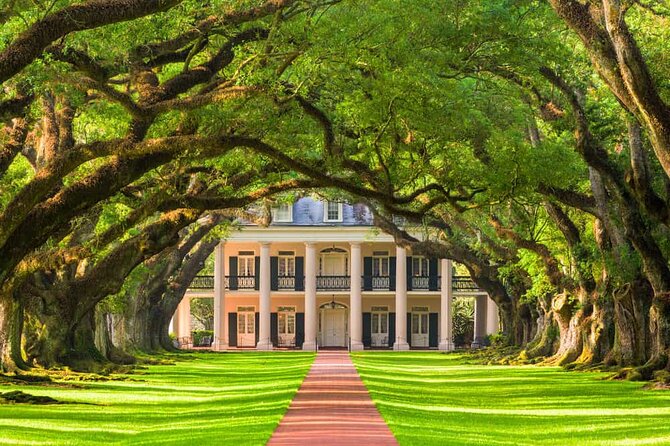 Small Airboat and Oak Alley Plantation Tour From New Orleans - Itinerary Highlights