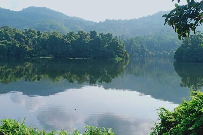 Small-Group Morning or Evening Birdwatching Tour, Thattekad  - Munnar - Meeting Point Details