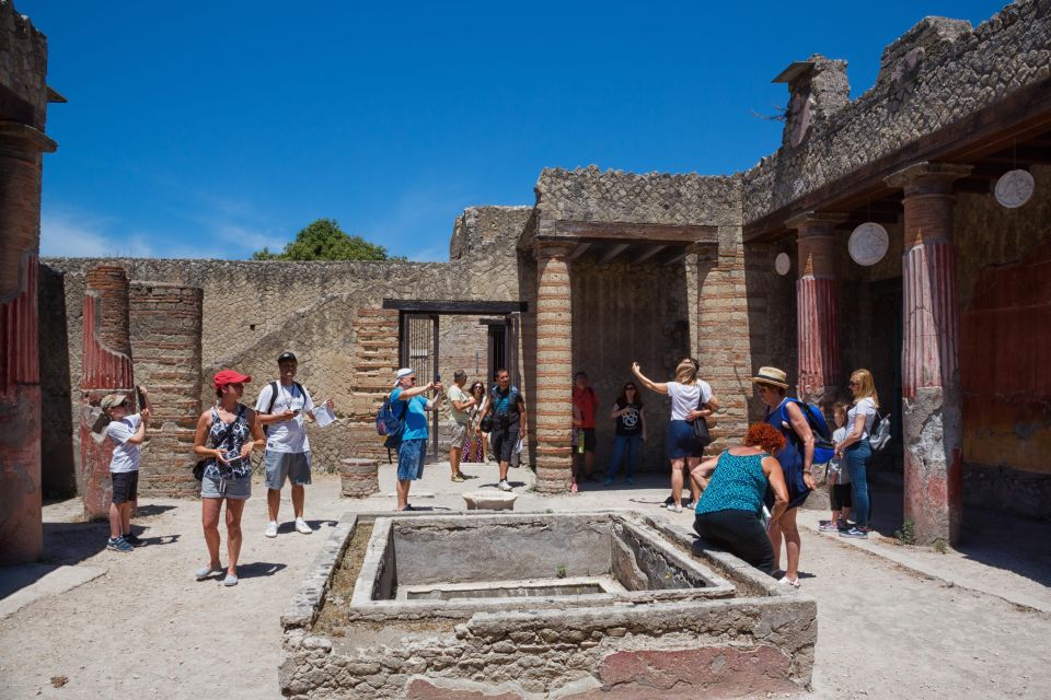 Sorrento: Transfer to Naples With Herculaneum Guided Tour - Tour Inclusions