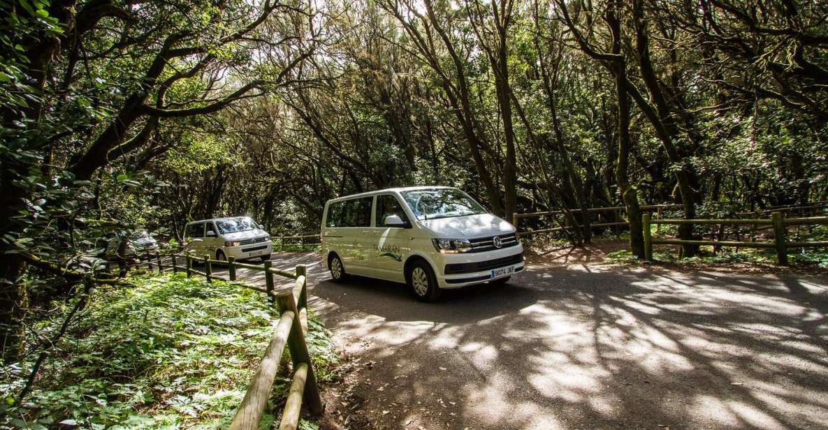 South Tenerife: San Cristóbal De La Laguna and Anaga Tour - Experience Highlights