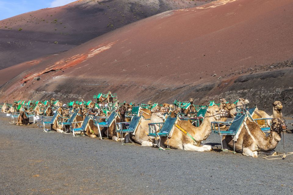 South Tour: Timanfaya National Park - Booking Details