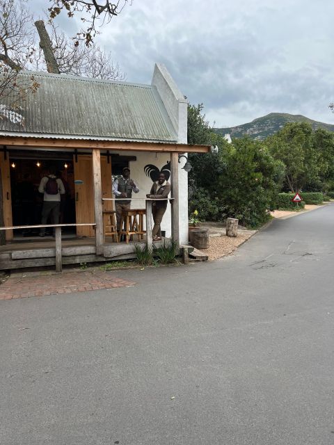 Swim With Penguins at Boulders Beach Penguin Colony - Logistics and Transport