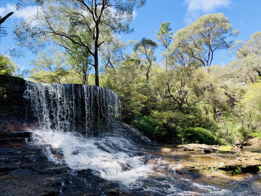 Sydney: Blue Mountains Featherdale and Wentworth Falls Tour - Booking Information