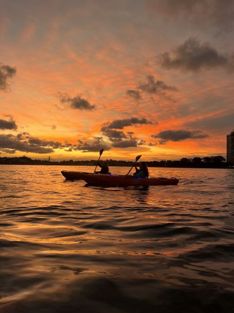Sydney: Sunset Kayak Tour on Sydney Harbour - Booking Information