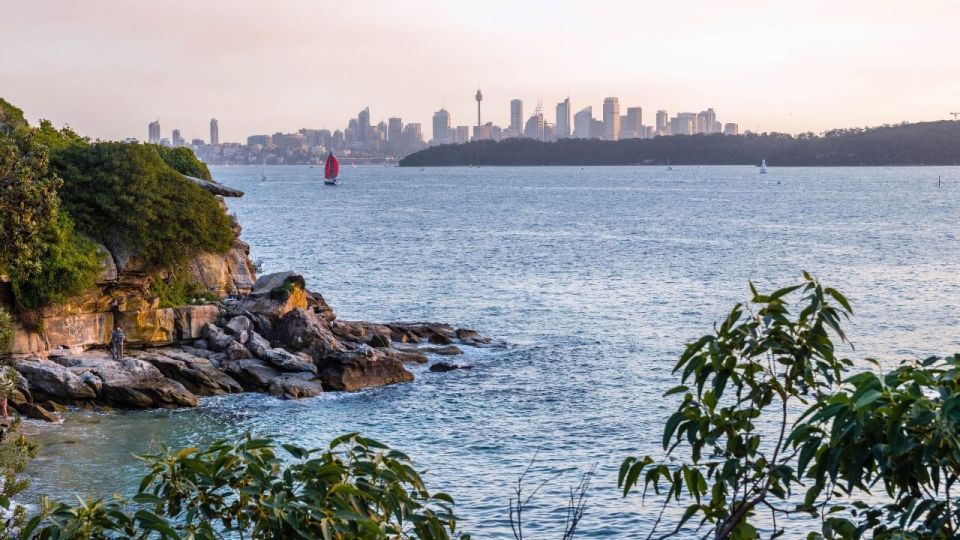 Sydney: Watsons Bay Walking Tour With Lunch and Coffee - Tour Highlights and Inclusions