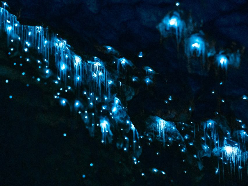 Te Anau: Glowworm Caves Guided Tour - Highlights