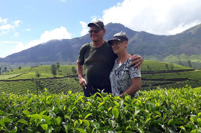 Tea Cultivation Programme - Benefits of Tea Plantation Tours