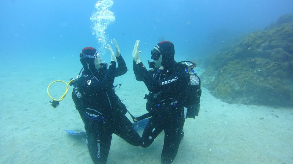 Tenerife: Discover Scuba Diving With Free Photos - Activity Information