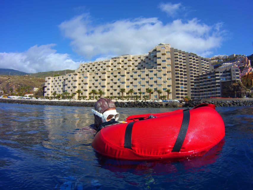 Tenerife: Full-Day of Discovering Freediving - Key Highlights