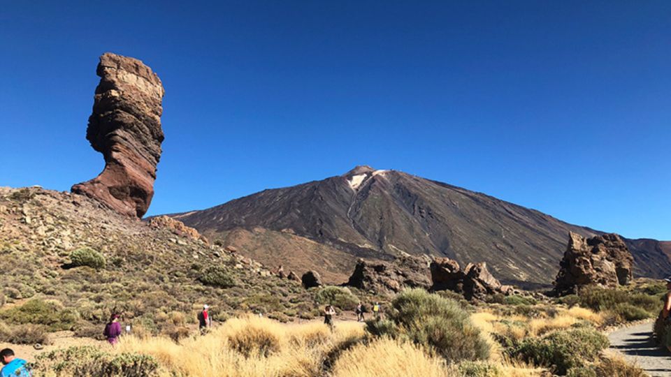 Tenerife: Teide National Park Guided Full-Day Trip by Bus - Activity: Guided Full-Day Trip by Bus