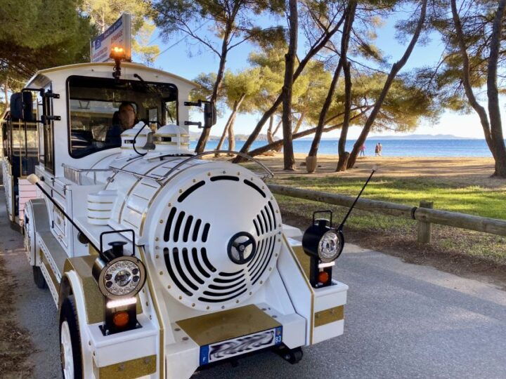 The Little Train of La Londe-les-Maures - Inclusions