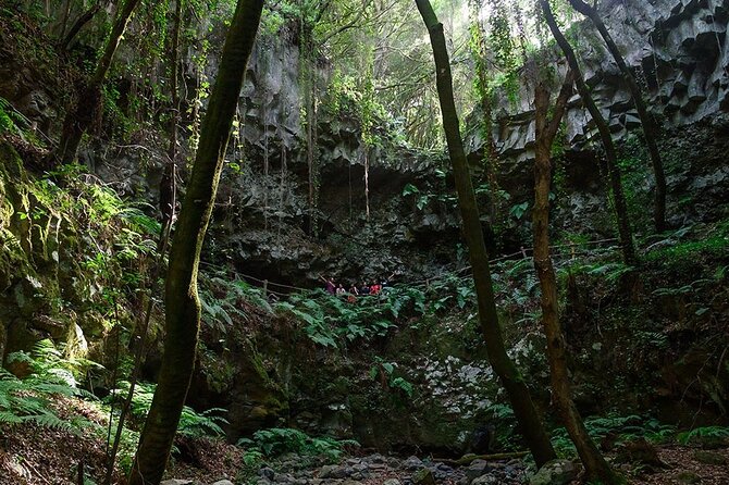 Thematic Hiking Route La Zarza in La Palma - Experience Flora and Fauna