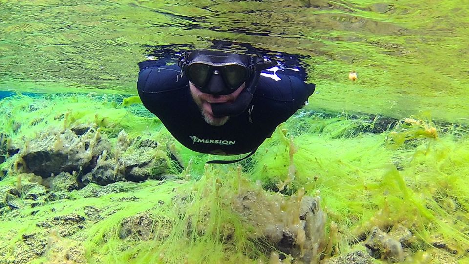 Thingvellir: Silfra Freedive Adevnture With a Guide - Full Description