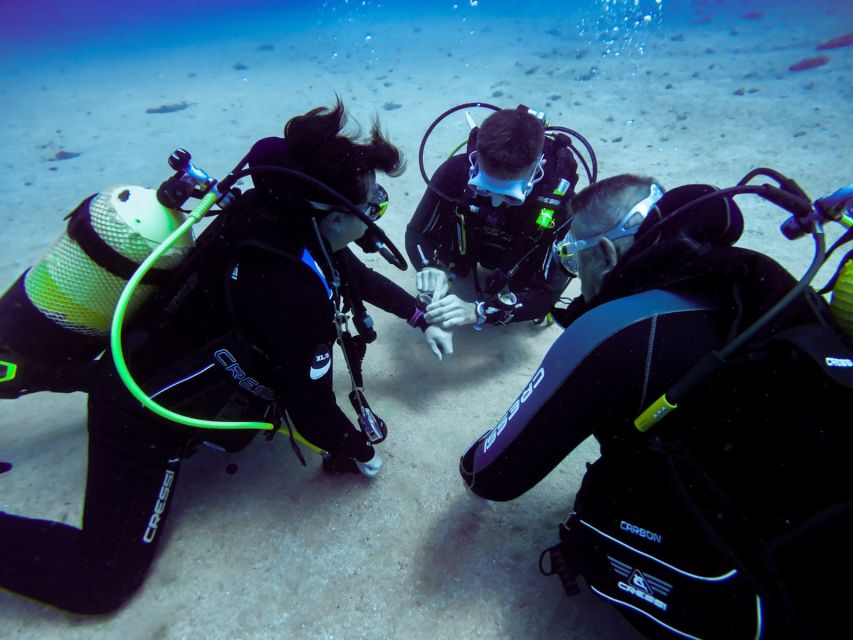 Tossa De Mar: Scuba Diving Experience for Beginners - Common questions