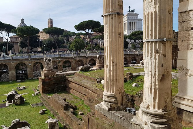 Tour in Rome, Full Day - Inclusions and Exclusions