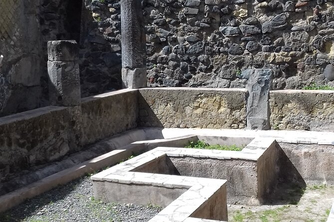 Transfer From Naples Train Station/Area to Sorrento 2hr Stop in Herculaneum - Explore Herculaneum