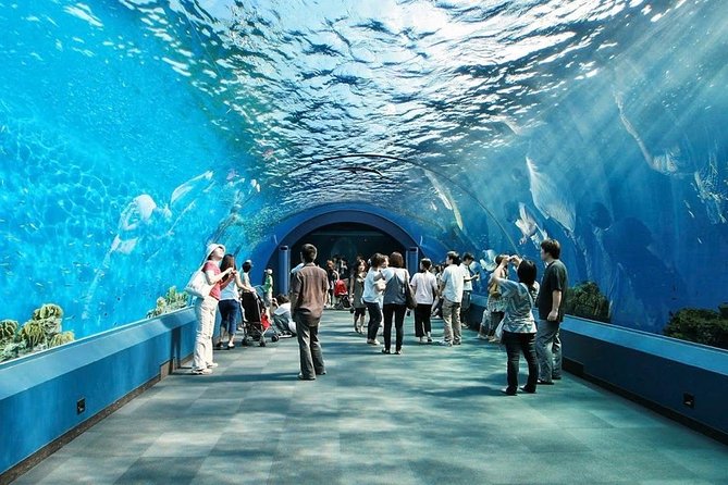 Underwater World at Pattaya Admission Ticket - Cancellation Policy Overview