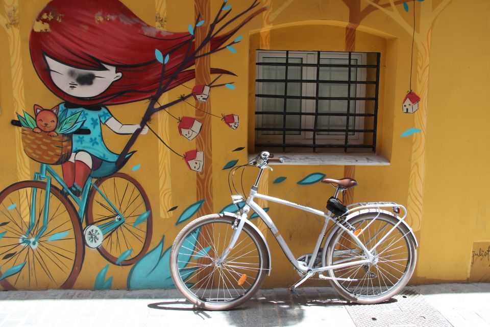 Valencia: Street Art Bike Tour - Experience Highlights