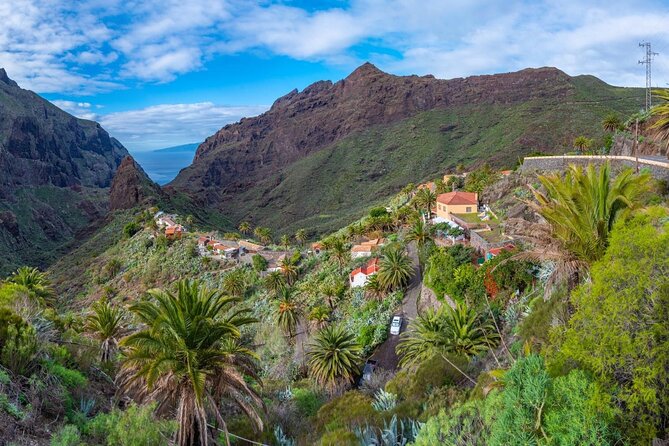 VIP Masca & Teide Tour From North Tenerife - Meeting and Pickup Instructions