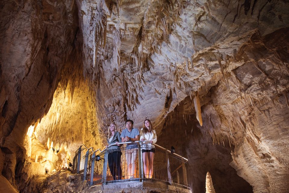 Waitomo: Ruakuri Cave 1.5 Hour Guided Tour - Experience Highlights