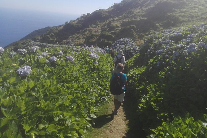 Walking Trail / Tour - Fajã Caldeira Santo Cristo - Legal and Operational Details